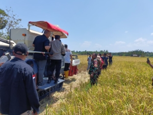 Panen Perdana Kelompok Family Lifubatu Dukung Swasembada Pangan Nasional