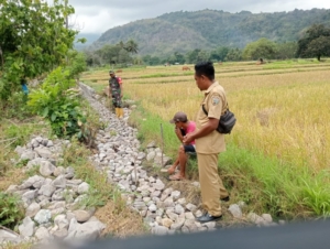 Babinsa Koramil 1602-04/Maurole Dampingi Kelompok Tani Cek Pengerjaan Saluran Irigasi di Desa Watumamba