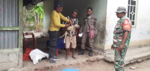 Sertu Kriswohe Dukung Kegiatan Vaksinasi Anjing di Amfoang Barat