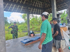 Motivasi para petani agar lebih produktif, Danramil 1623-01/Karangasem tinjau lahan padi siap panen di Subak Abian Sanghang.