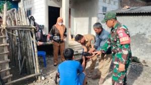 Babinsa Desa Tongo Sigap Dampingi Penanganan Kambing Sakit di Desa Binnan