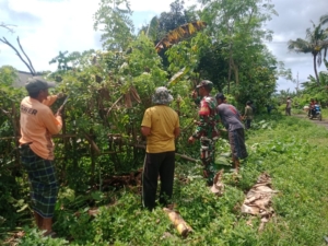 Babinsa Nanga Kara Gelar Komsos dan Gotong Royong Bersihkan Jalan Tani