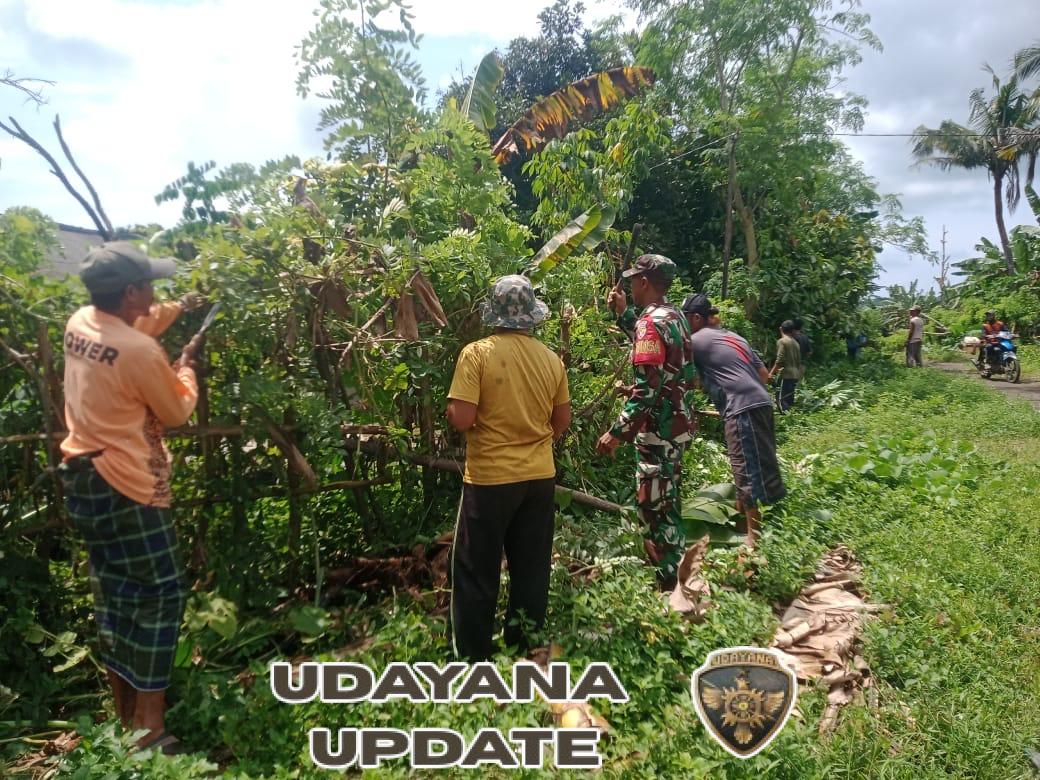 Babinsa Nanga Kara Gelar Komsos dan Gotong Royong Bersihkan Jalan Tani