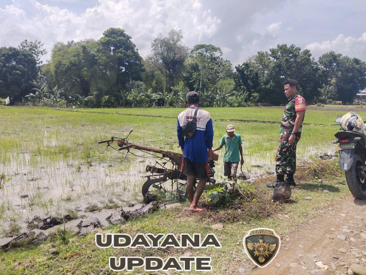 Petani Sambut Baik Pendampingan Babinsa Saat Mulai Musim Tanam
