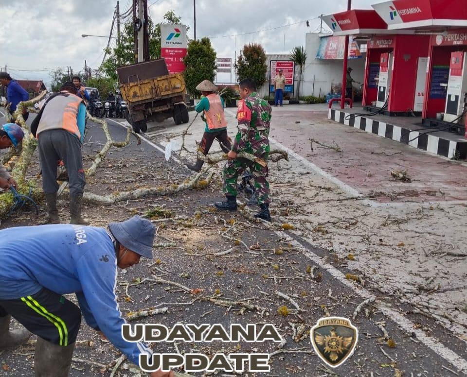 Babinsa Desa Batunya Bantu Penebangan Pohon Kering yang Berpotensi Timbulkan Bencana