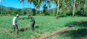 Kemanunggalan TNI dan Rakyat: Pratu Irwansyah Dukung Petani dalam Pembersihan Lahan Sawah di Desa Bari