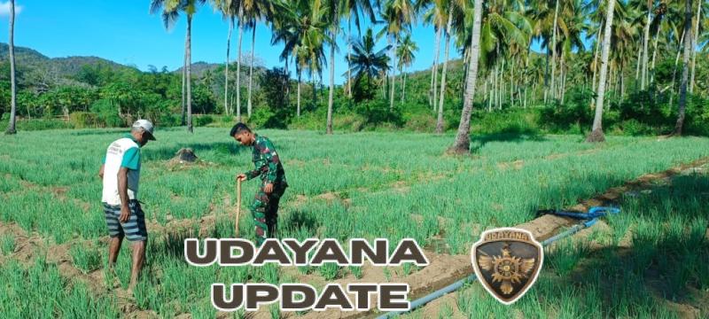 Kemanunggalan TNI dan Rakyat: Pratu Irwansyah Dukung Petani dalam Pembersihan Lahan Sawah di Desa Bari