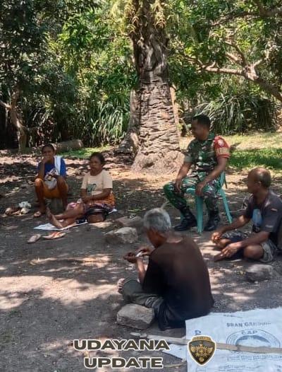Babinsa dan Warga Fatunisuan Bersinergi Wujudkan Ketahanan Pangan Lewat Lahan Produktif