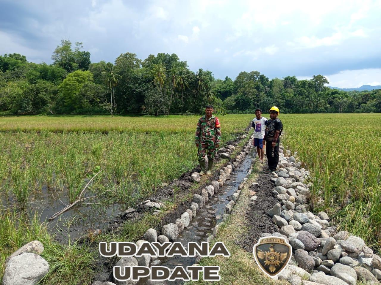 Babinsa Koramil 1602-03/Detusoko Dampingi Petani Bangun Irigasi di Desa Nuangenda