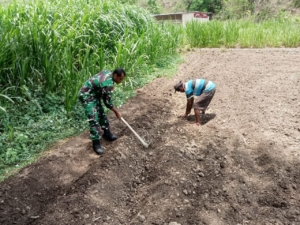 Bantu Siapkan Lahan Pertanian, Anggota Satgaster Pos Halibete II Perkuat Ketahanan Pangan Wilayah