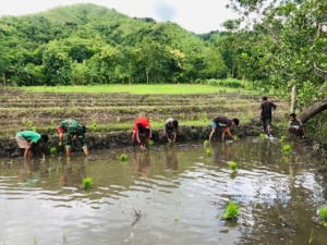 Pratu Hezron Wora Dampingi Petani Desa Nangga Dukung Ketahanan Pangan