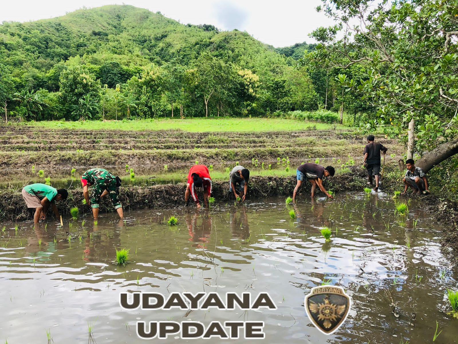 Pratu Hezron Wora Dampingi Petani Desa Nangga Dukung Ketahanan Pangan