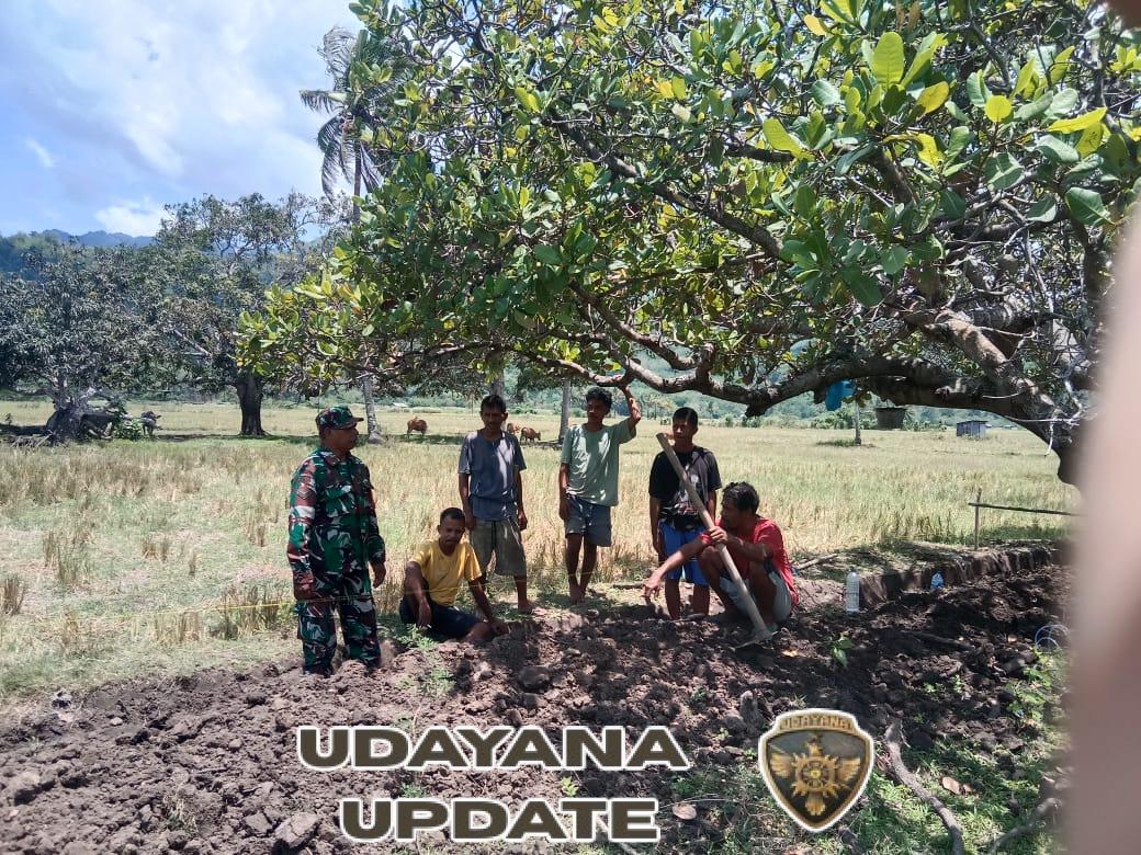 Babinsa Koramil 1602-04/Maurole Laksanakan Komsos dan Pamwil di Desa Detumbewa