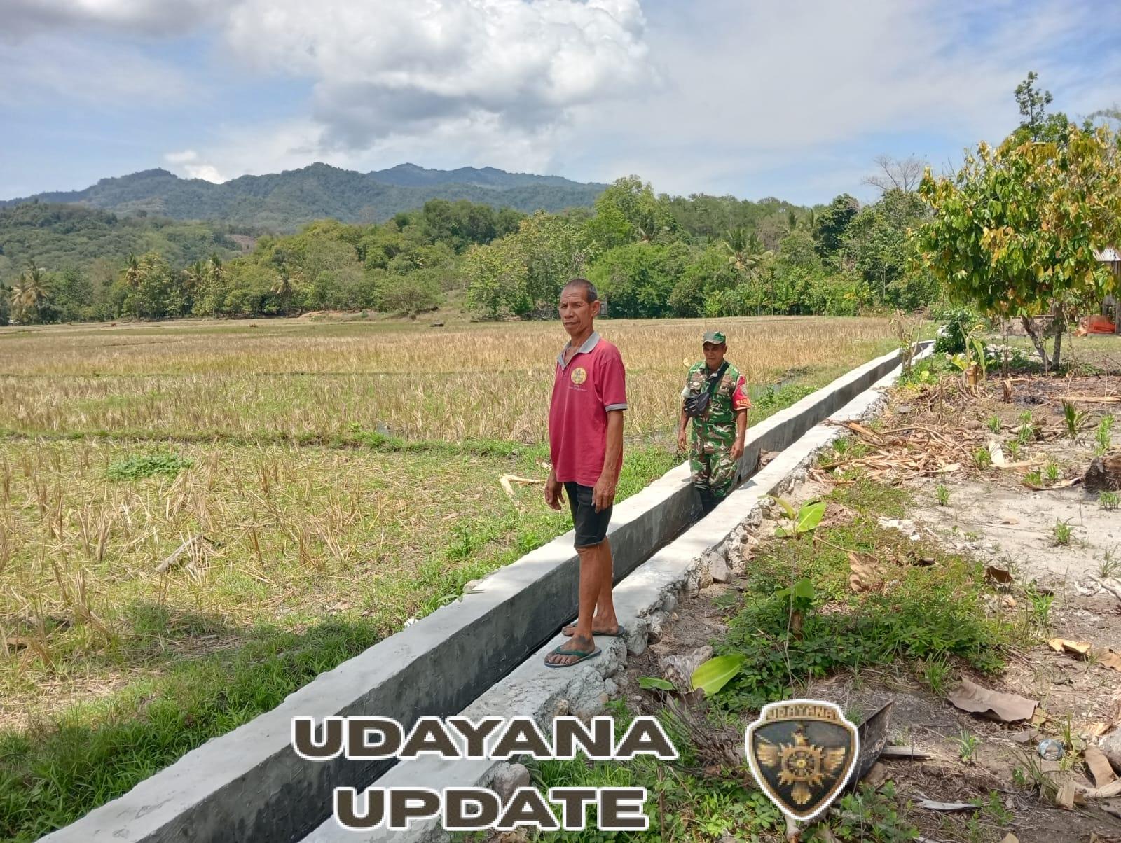 Babinsa Koramil 1602-04/Maurole Dampingi Pengecekan Saluran Irigasi Bersama Kelompok Tani Sokonggonde