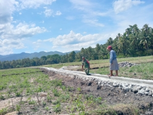 Babinsa Maurole Dampingi Kelompok Tani Pengecekan Saluran Irigasi dan Gelar Komsos