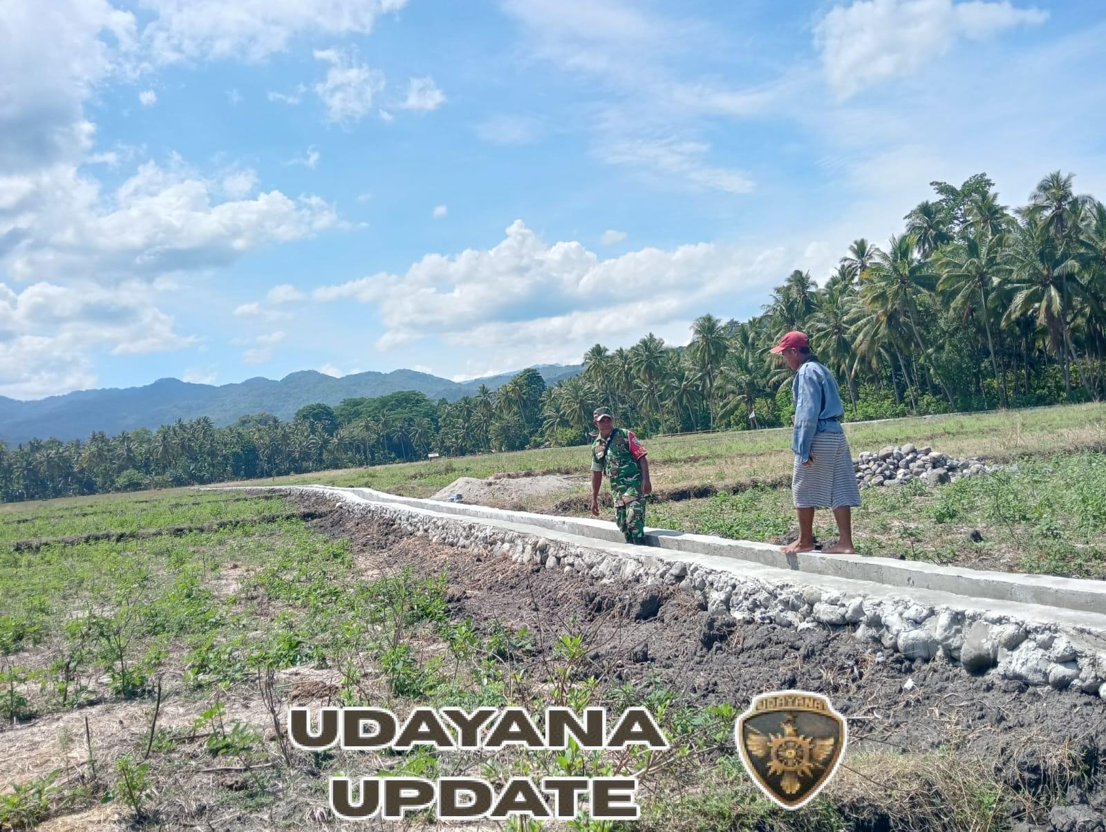 Babinsa Maurole Dampingi Kelompok Tani Pengecekan Saluran Irigasi dan Gelar Komsos