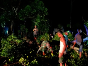 Babinsa Desa Kwangko Bantu Warga Bersihkan Pohon Tumbang Akibat Angin Kencang