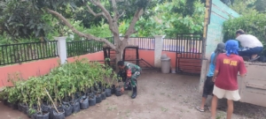Babinsa Desa Kelanir Dampingi Penyerahan Bibit Tanaman, Dukung Gerakan Gemar Menanam di Sumbawa Barat