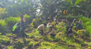 Bersatu Dengan Alam, Kodim 1620/Loteng Tanama Pohon Di Hutan Pemepek