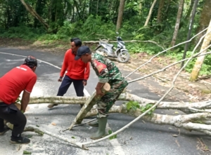 Longsor Tutup Akses Jalan, Babinsa dan Tim Gabungan Bergerak Cepat Lakukan Pembersihan