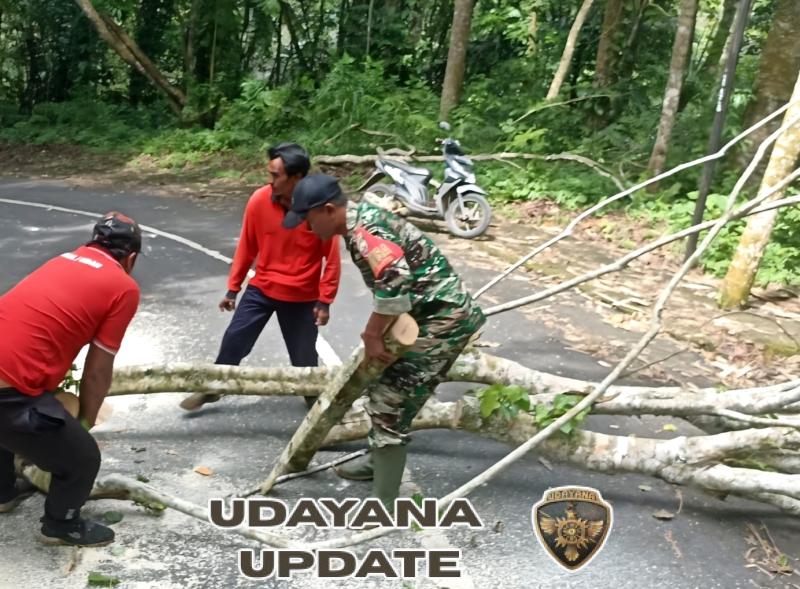 Longsor Tutup Akses Jalan, Babinsa dan Tim Gabungan Bergerak Cepat Lakukan Pembersihan