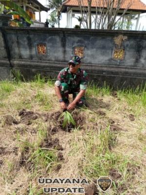 Cepaka Fest Semarak, Danramil Kediri Pantau Langsung Kegiatan Penanaman Pohon
