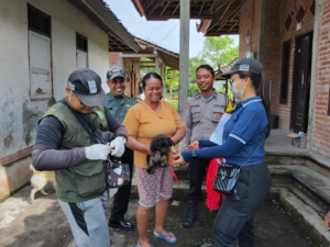 Babinsa Kelurahan Lelateng Amankan Program Vaksinasi Rabies Massal