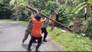 Babinsa dan Warga Manggissari Jembrana Kompak Atasi Tiang WiFi Roboh Akibat Badai
