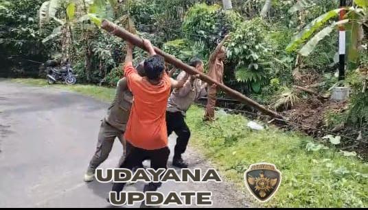Babinsa dan Warga Manggissari Jembrana Kompak Atasi Tiang WiFi Roboh Akibat Badai