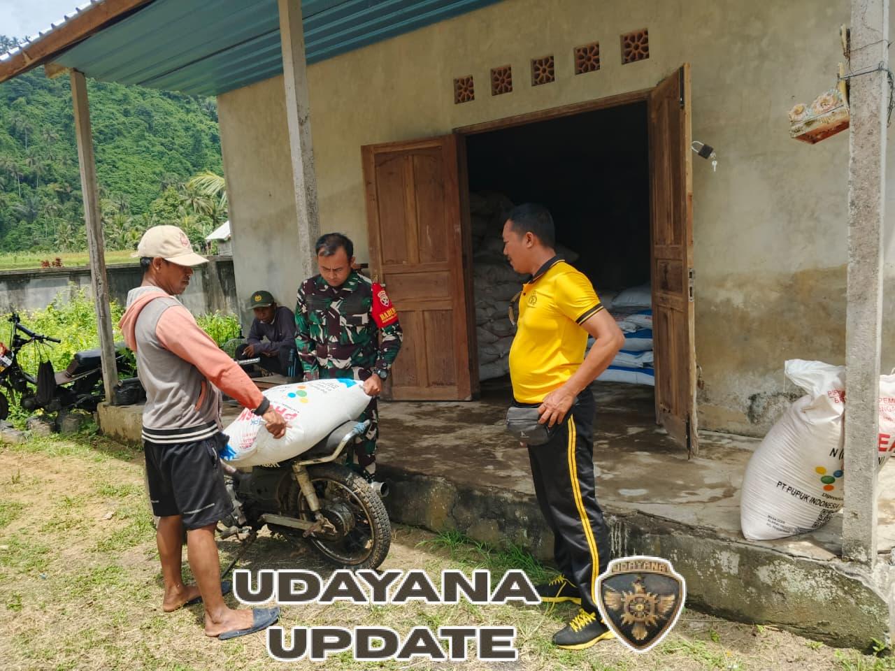 Babinsa Selisihan Hadir Beri Pendampingan Penyaluran Pupuk Bersubsidi bagi Warga Subak Selisihan