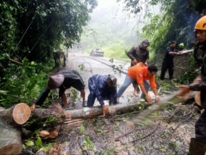 Tanggap Bencana, Babinsa Desa Jegu Sigap Bersihkan Pohon dan Tiang Listrik Tumbang akibat Hujan Deras