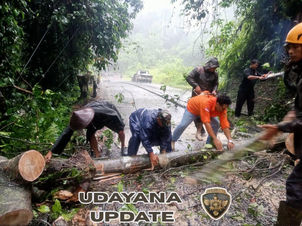 Tanggap Bencana, Babinsa Desa Jegu Sigap Bersihkan Pohon dan Tiang Listrik Tumbang akibat Hujan Deras