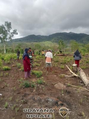 Serda Ibrahim Blegur Dampingi Petani dan Imbau Pengawasan Kebun