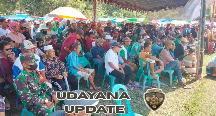 Babinsa Koramil 1628-01/Taliwang Amankan Lomba Karapan Kerbau HUT Desa Lalar Liang ke-20