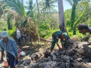 Babinsa Koramil 1627-01/Ba’a Gotong Royong Bersama Petani Perbaiki Saluran Irigasi di Rote Tengah