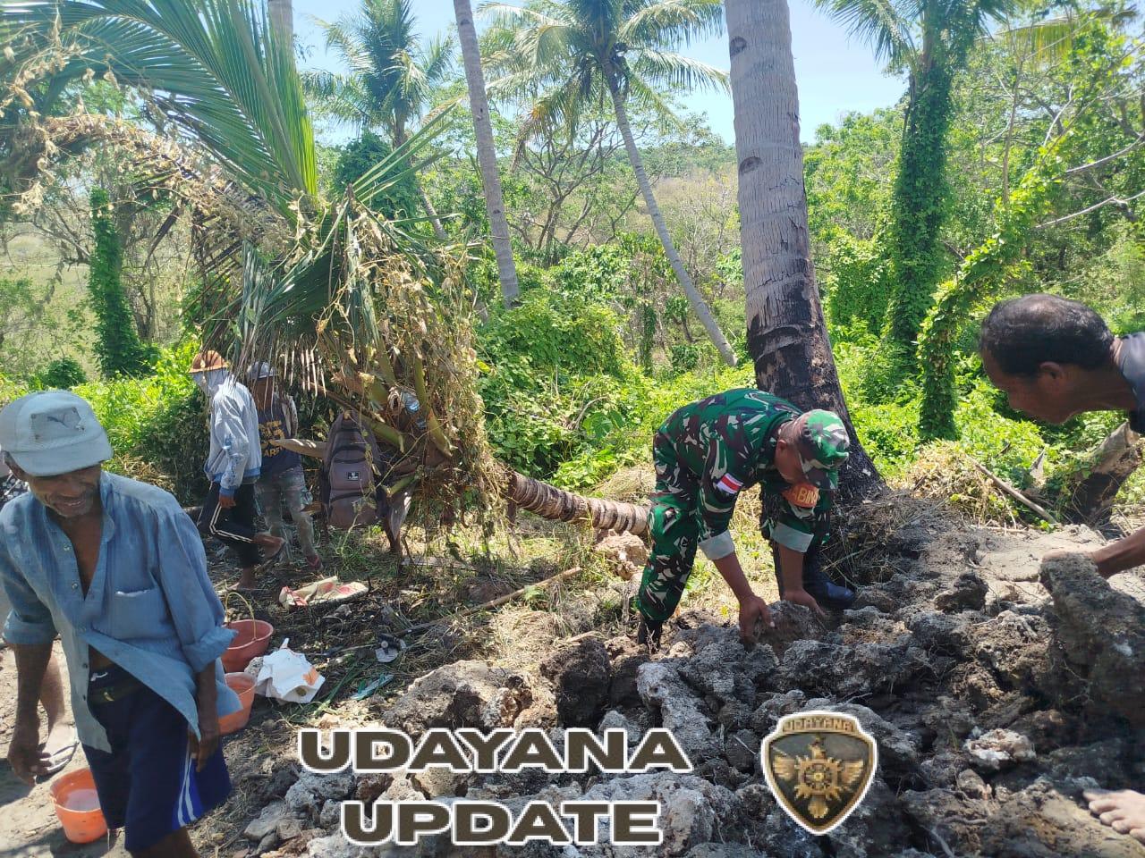 Babinsa Koramil 1627-01/Ba’a Gotong Royong Bersama Petani Perbaiki Saluran Irigasi di Rote Tengah