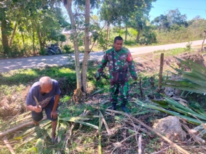Lakukan Pendampingan, Babinsa Koramil Biudukfoho Bantu Siapkan Lahan Petani
