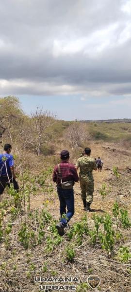 Dandim 1627/Rote Tinjau Lokasi Lahan Pembangunan Batalyon Teritorial di Rote Ndao