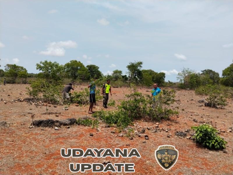 Babinsa Batutua Dampingi Pembersihan dan Pengukuran Lahan Koperasi Merah Putih di Desa Oelua