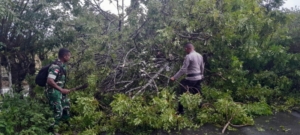 Babinsa Koramil 1627-03/Batutua Bersama Warga Bersihkan Jalan Tertutup Pohon Tumbang di Busalangga