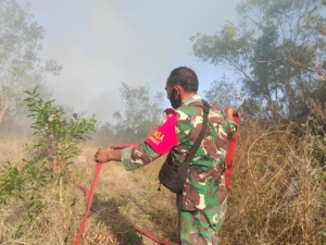 Babinsa Koramil 1623-08/Kubu  bersama Damkar dan warga berjibaku padamkan api kebakaran lahan.