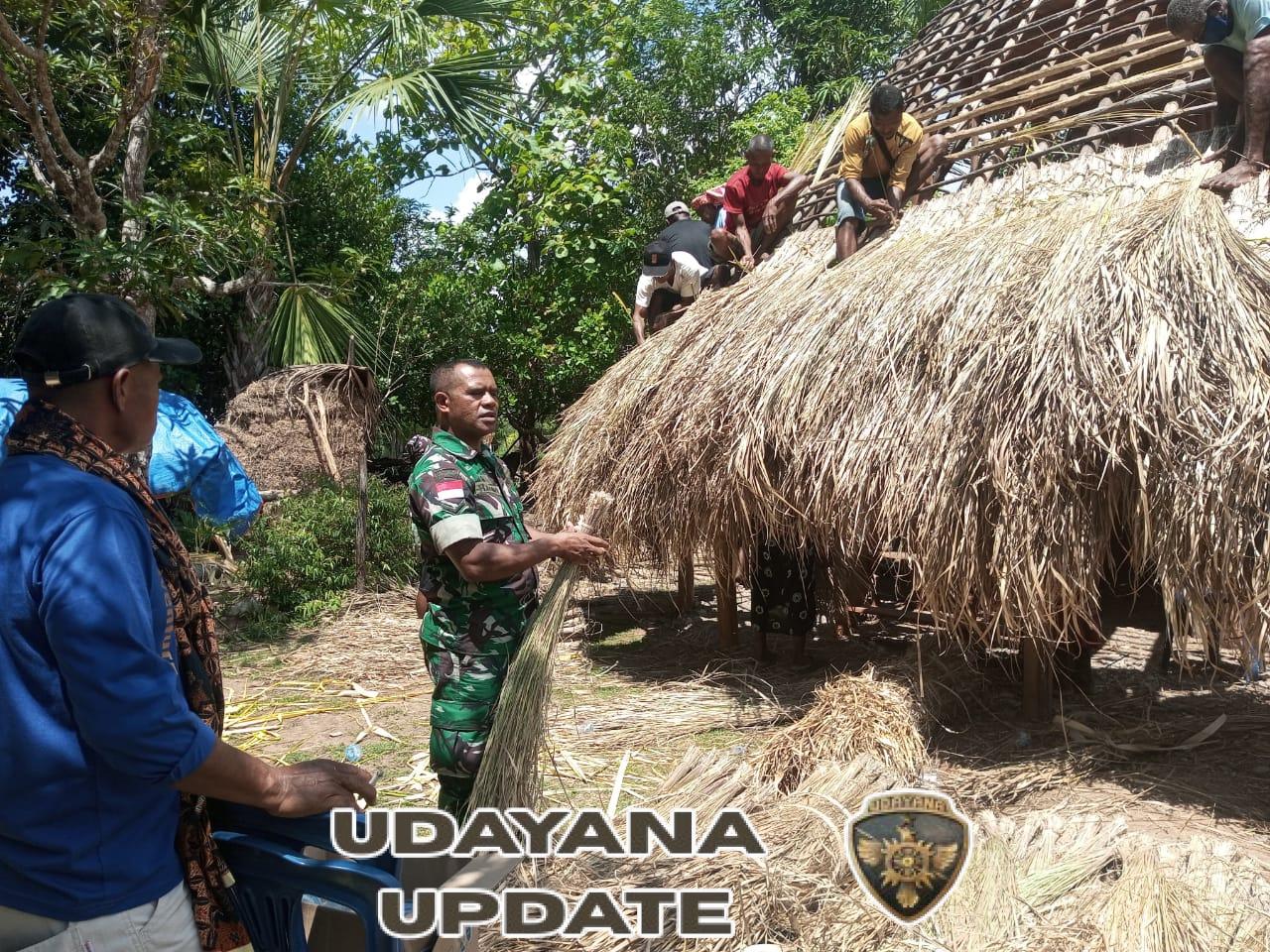 Lestarikan Warisan Budaya, Satgaster Pos Halibete II Bantu Atap Rumah Adat