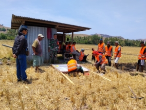 Babinsa Kotabaru Intensif Laksanakan Komsos dan Pamwil Bersama Petani Lokal