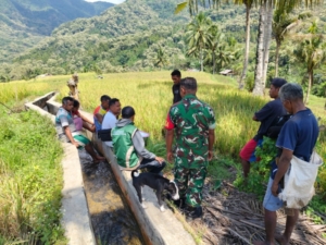 Babinsa Koramil 1602-01/Ende Bersama Kelompok Tani Cek Pengerjaan Saluran Irigasi di Desa Jamokeasa