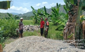 Babinsa Maurole Dampingi Kelompok Tani Woda Usaha Awasi Pendropingan Material Irigasi