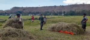 Sertu Syamsurijal Ajak Warga Patawang Tingkatkan Produksi Pertanian