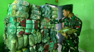 Sinergi Satgas Pamtas Yonarmed 12 Kostrad dan Satgas Intel TNI Ungkap Penyelundupan di Jalur Tikus Tohe