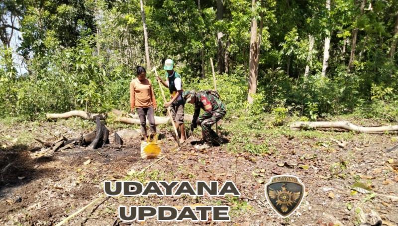 Kopda Ahmad Ajak Petani Liang Sola Kembangkan Tanaman Jahe Bernilai Ekonomi Tinggi