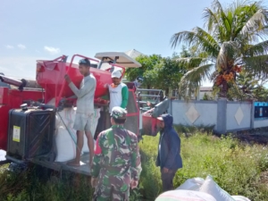 Kebersamaan Babinsa dan Petani di Raminara Perkuat Ketahanan Pangan Wilayah