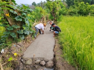 Babinsa Koramil Maurole Dampingi Kelompok Tani Woda Usaha Bangun Irigasi 194 Meter